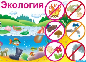 Берегите экологию