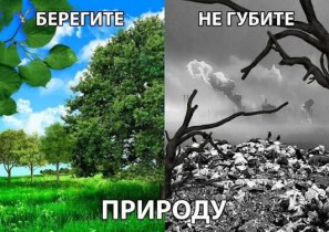 Устойчивое развитие и сохранение окружающей среды