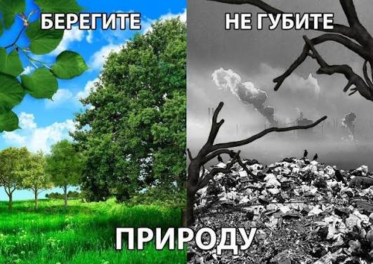 Устойчивое развитие и сохранение окружающей среды