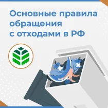 Основные правила обращения с отходами