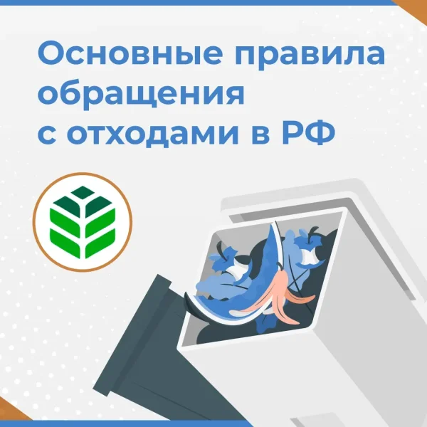 Основные правила обращения с отходами